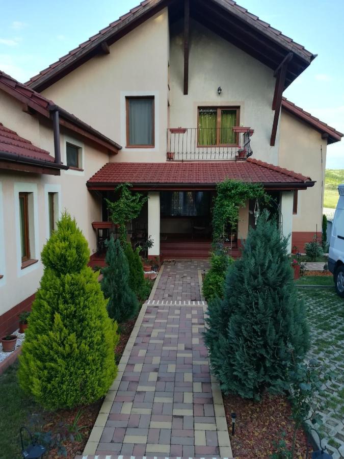 Апартаменти Casa Doina Беїле-Фелікс Екстер'єр фото