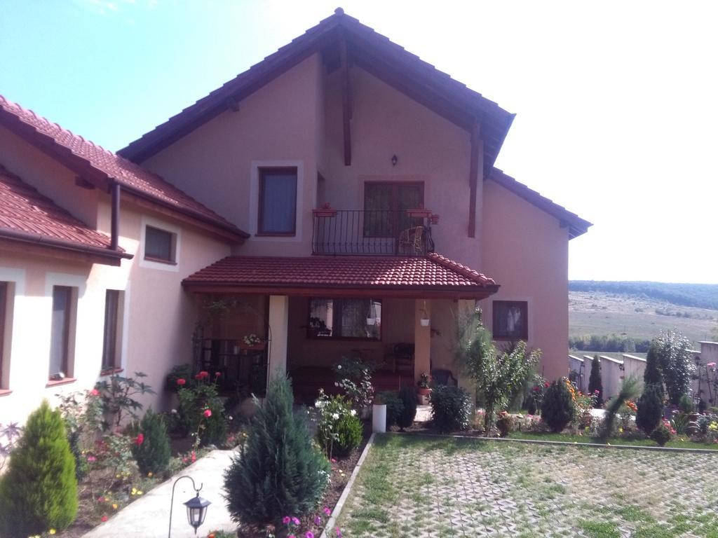 Апартаменти Casa Doina Беїле-Фелікс Екстер'єр фото